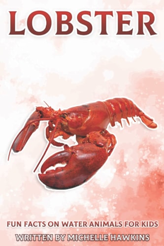 LOBSTER Fun Facts on Water Animals for Kids #11