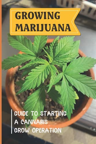 Growing Marijuana Guide To Starting A Cannabis Grow Operation: How To Start Your Marijuana Cultivation