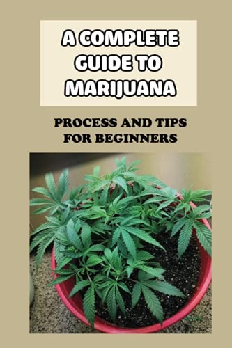 A Complete Guide To Marijuana Process And Tips For Beginners: How To Grow High Quality Marijuana