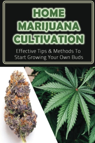 Home Marijuana Cultivation Effective Tips & Methods To Start Growing Your Own Buds: Medical Uses Of Cannabis