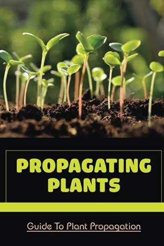 Propagating Plants Guide To Plant Propagation: Plant Propagation Methods