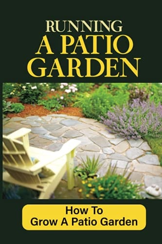 Running A Patio Garden How To Grow A Patio Garden: Patio Gardening For Beginners