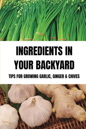 Ingredients In Your Backyard Tips For Growing Garlic, Ginger & Chives: Growing Your Own Garlic
