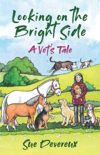 Looking on the Bright Side A Vet's Tale