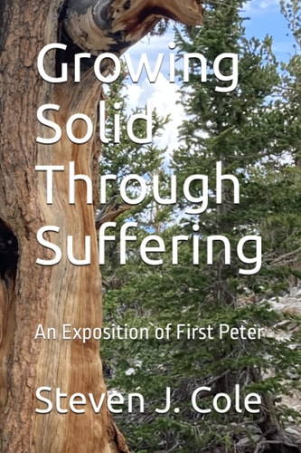 Growing Solid Through Suffering An Exposition of First Peter