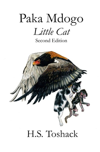 Paka Mdogo Little Cat