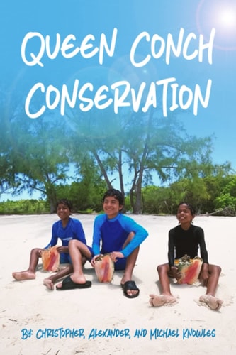 Queen Conch Conservation Why We Should Save The Queen Conch