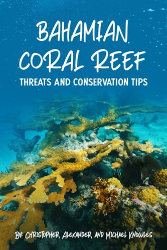 Bahamian Coral Reef Why We Should Save Coral Reefs
