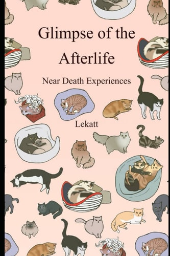 Glimpse of the Afterlife Near Death Experiences