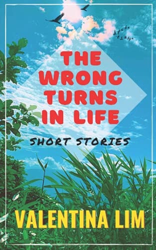 The Wrong Turns in Life Short Stories