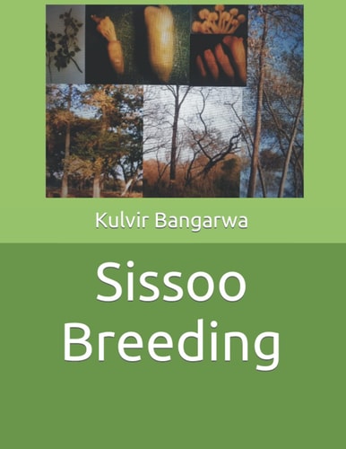 Sissoo Breeding Forest Tree Breeding