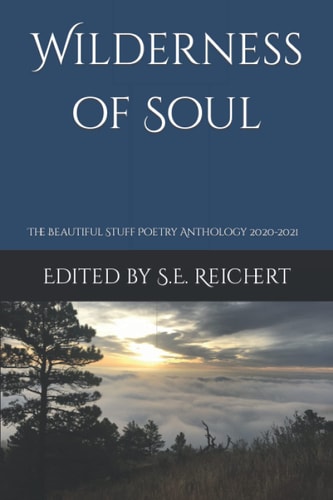 Wilderness of Soul The Beautiful Stuff Poetry Anthology 2020-2021