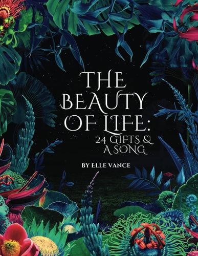 The Beauty of Life 24 Gifts and a Song