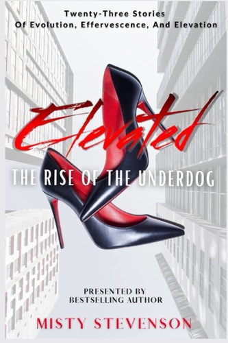 Elevated Rise of the Underdog
