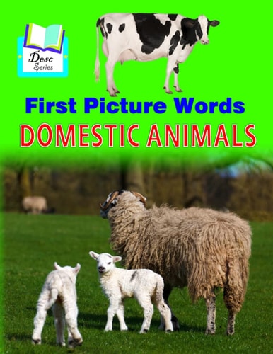 First Picture Words Domestic Animals