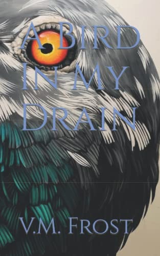 A Bird In My Drain