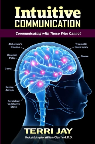Intuitive Communication Communicating With Those Who Cannot