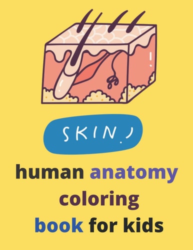 2022 Human Anatomy Coloring Pages Human Body Activity Book for Kids Or Kindergarten Students