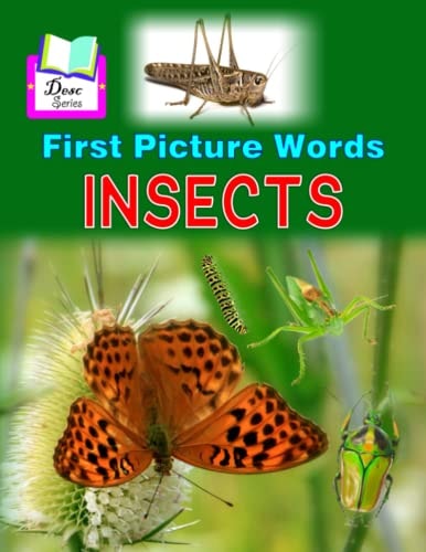 First Picture Words Insects