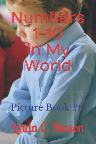 Numbers 1-10 In My World Picture Book #6