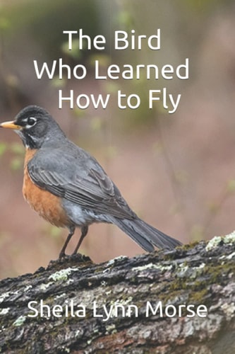 The Bird Who Learned How to Fly