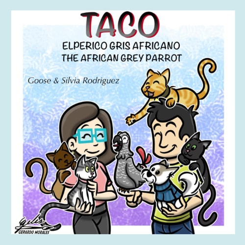 Taco The African Grey Parrot - El Perico Gris Africano