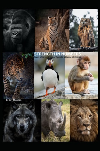 Strength in Numbers From a Shrewdness of Apes to a Dazzle of Zebras