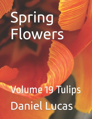 Spring Flowers Volume 19 Tulips