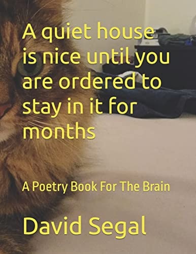 A Quiet House is Nice Until You are Ordered to Stay in it for Months A Poetry Book For The Brain