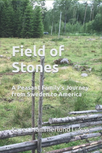 Field of Stones A Peasant Family's Journey from Sweden to America