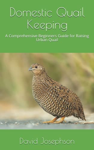 Domestic Quail Keeping A Comprehensive Beginners Guide for Raising Urban Quail
