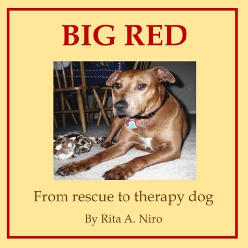 Big Red From Rescue to Therapy Dog