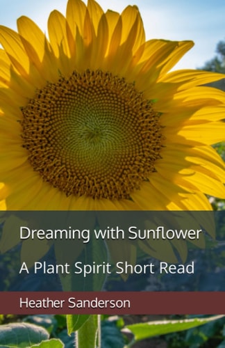 Dreaming with Sunflower A Plant Spirit Short Read
