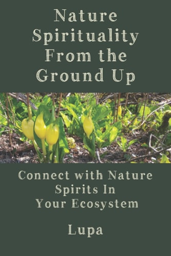 Nature Spirituality From the Ground Up Connect With Nature Spirits In Your Ecosystem