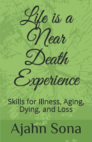 Life is a Near Death Experience Skills for Illness, Aging, Dying, and Loss