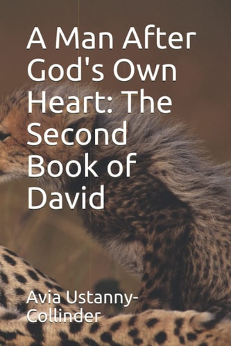 A Man After God's Own Heart The Second Book of David