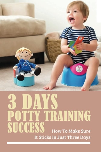 3 Days Potty Training Success How To Make Sure It Sticks In Just Three Days: Potty Training Techniques