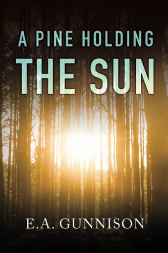 A Pine Holding the Sun