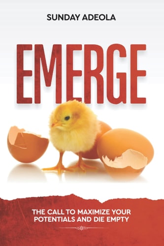 Emerge The Call to Maximize Your Potential and Die Empty