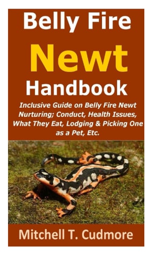 Belly Fire Newt Handbook : Inclusive Guide on Belly Fire Newt Nurturing; Conduct, Health Issues, What They Eat, Lodging & Picking One as a Pet, Etc.