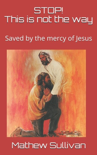 STOP! This is Not the Way Saved by the Mercy of Jesus