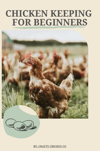 Chicken Keeping For Beginners The Basics of Chicken Keeping