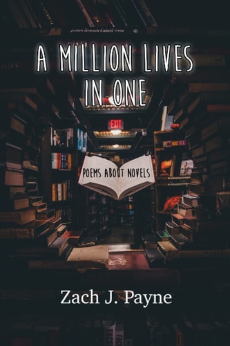 A Million Lives in One Poems Inspired by Novels