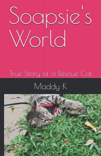 Soapsie's World True Story of a Rescue Cat