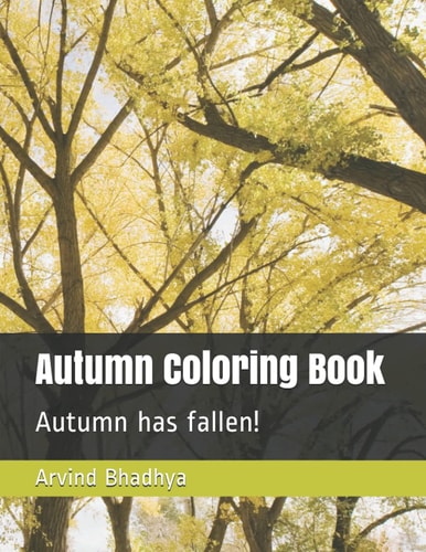 Autumn Coloring Book Autumn Has Fallen!