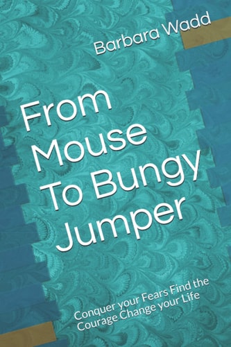 From Mouse To Bungy Jumper Conquer Your Fears Find the Courage Change Your Life