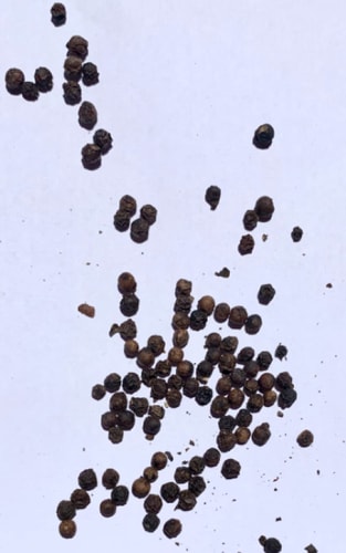 Pepper