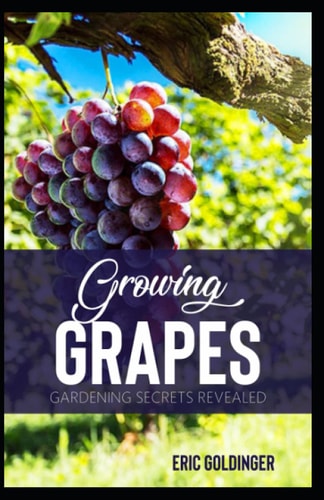 Growing Grapes Gardening Secrets Revealed