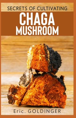 Secrets of Cultivating Chaga Mushroom Comprehensive Guide on how to Grow Medicinal Mushroom