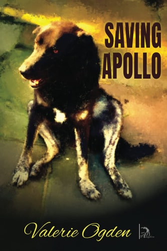 Saving Apollo